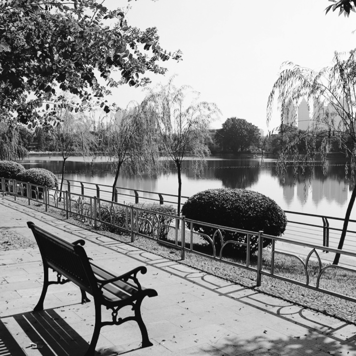 POPULATED LANDSCAPES LIKE GARDENS, PARKS..